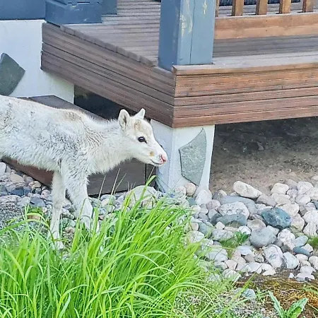 Holiday home Vuosselinkulma 1 By Interhome Ruka